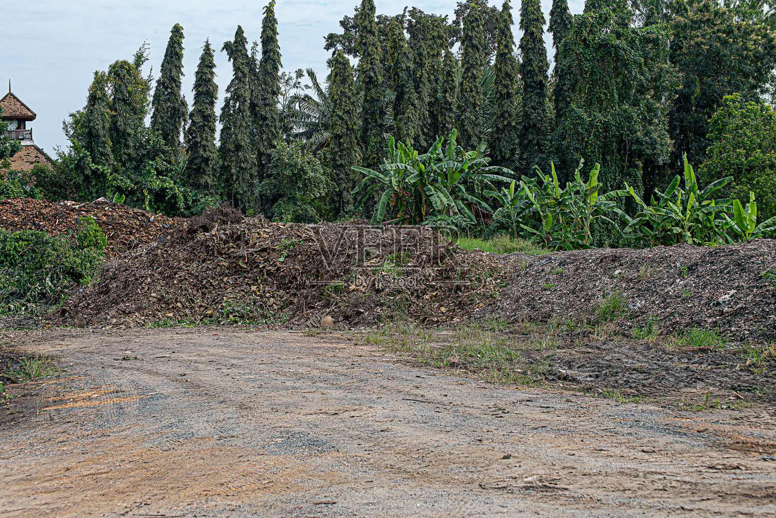 堆肥堆里充满了土壤微生物。农业采用自然方法进行,整个过程不使用任何化学品。照片摄影图片