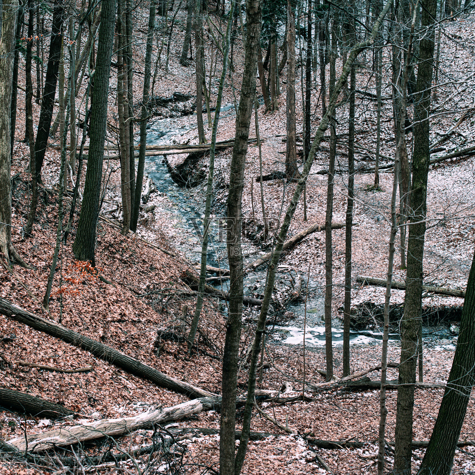 冬季逃逸照片摄影图片