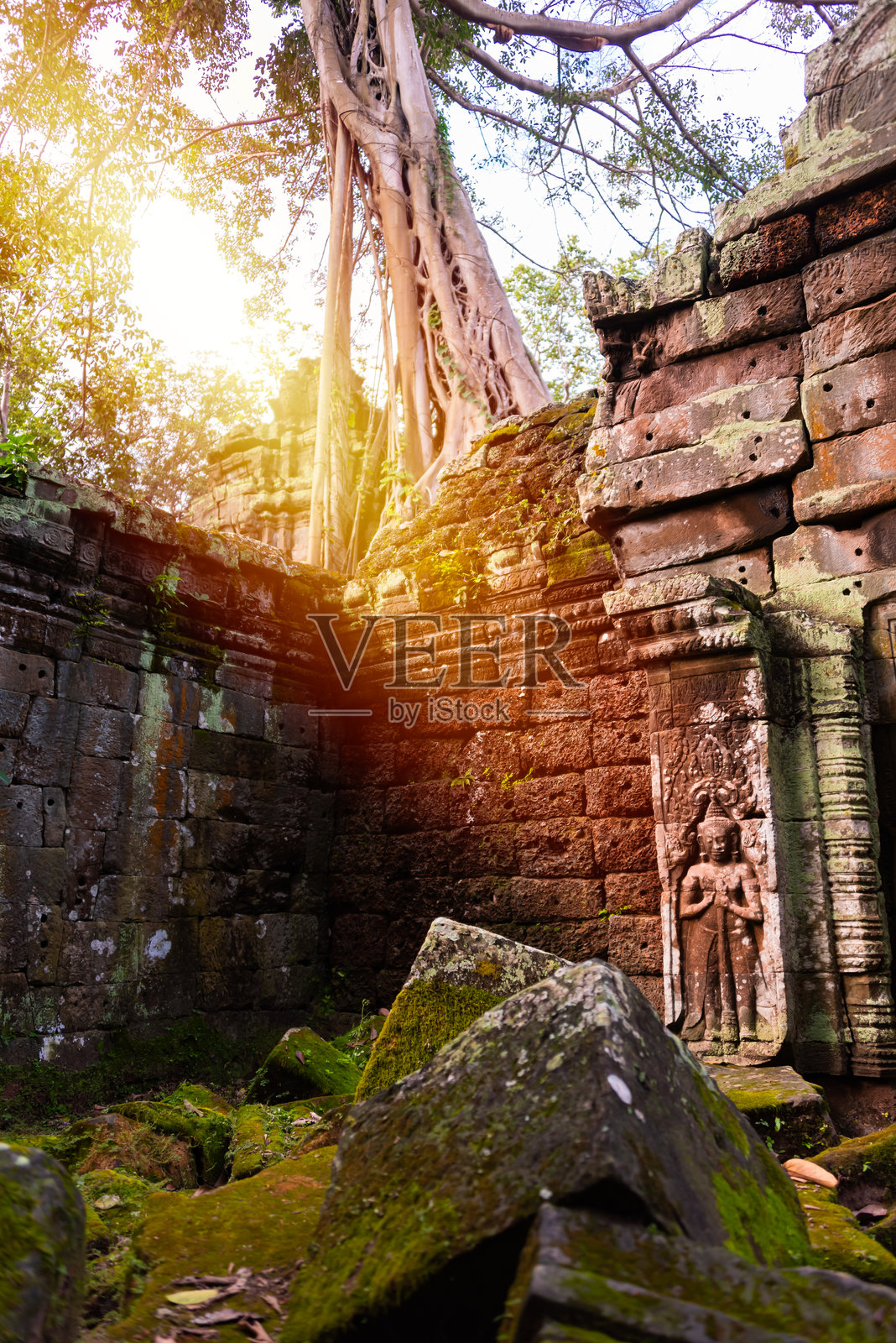 吴哥通,柬埔寨丛林中的古老寺庙遗址,树根交错。照片摄影图片