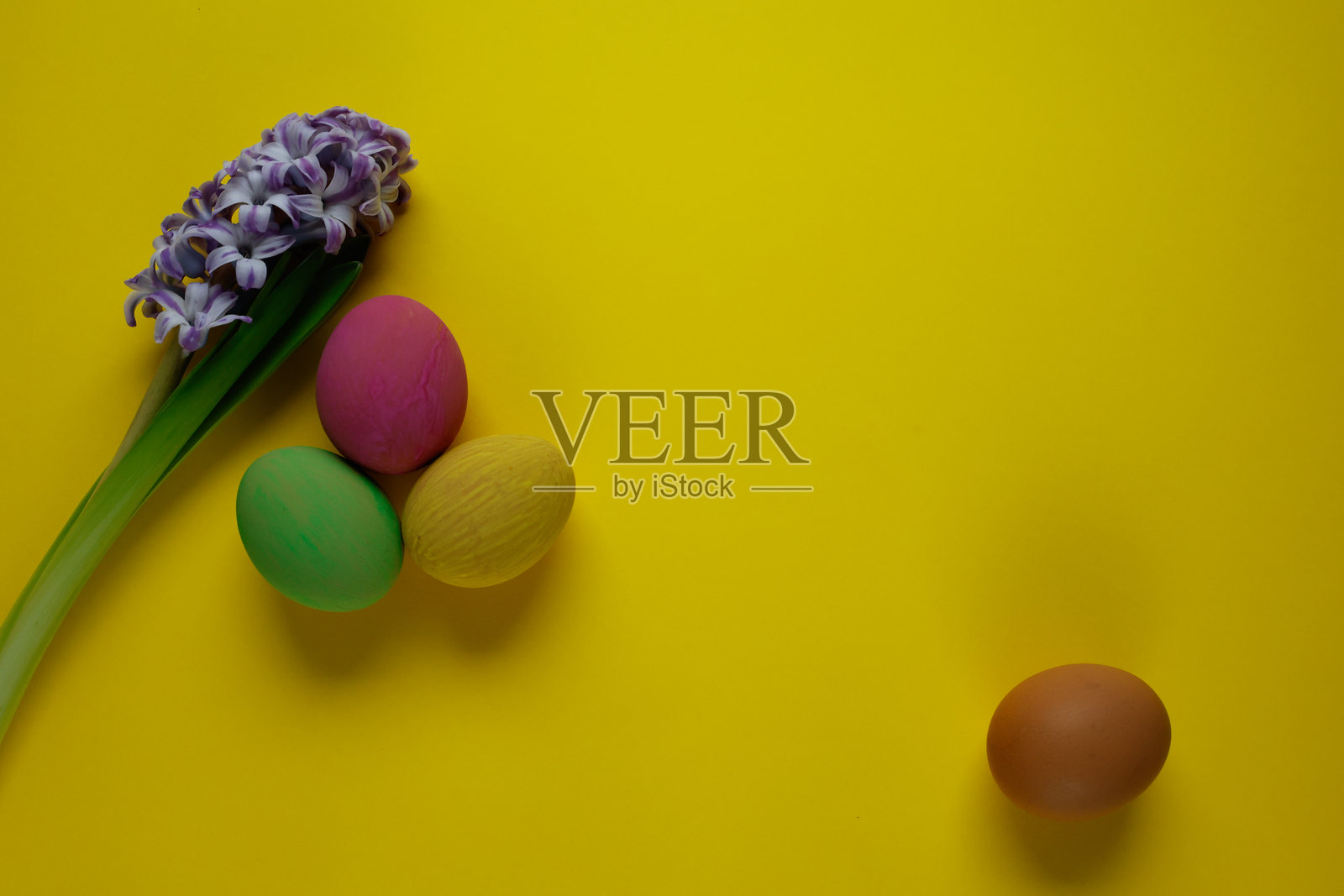春季作品,色彩斑斓的彩蛋与紫色风信子。照片摄影图片