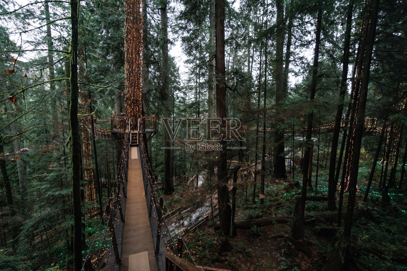 加拿大不列颠哥伦比亚省北温哥华的卡皮拉诺吊桥公园,在一个阴郁、雨天的十一月秋日。照片摄影图片