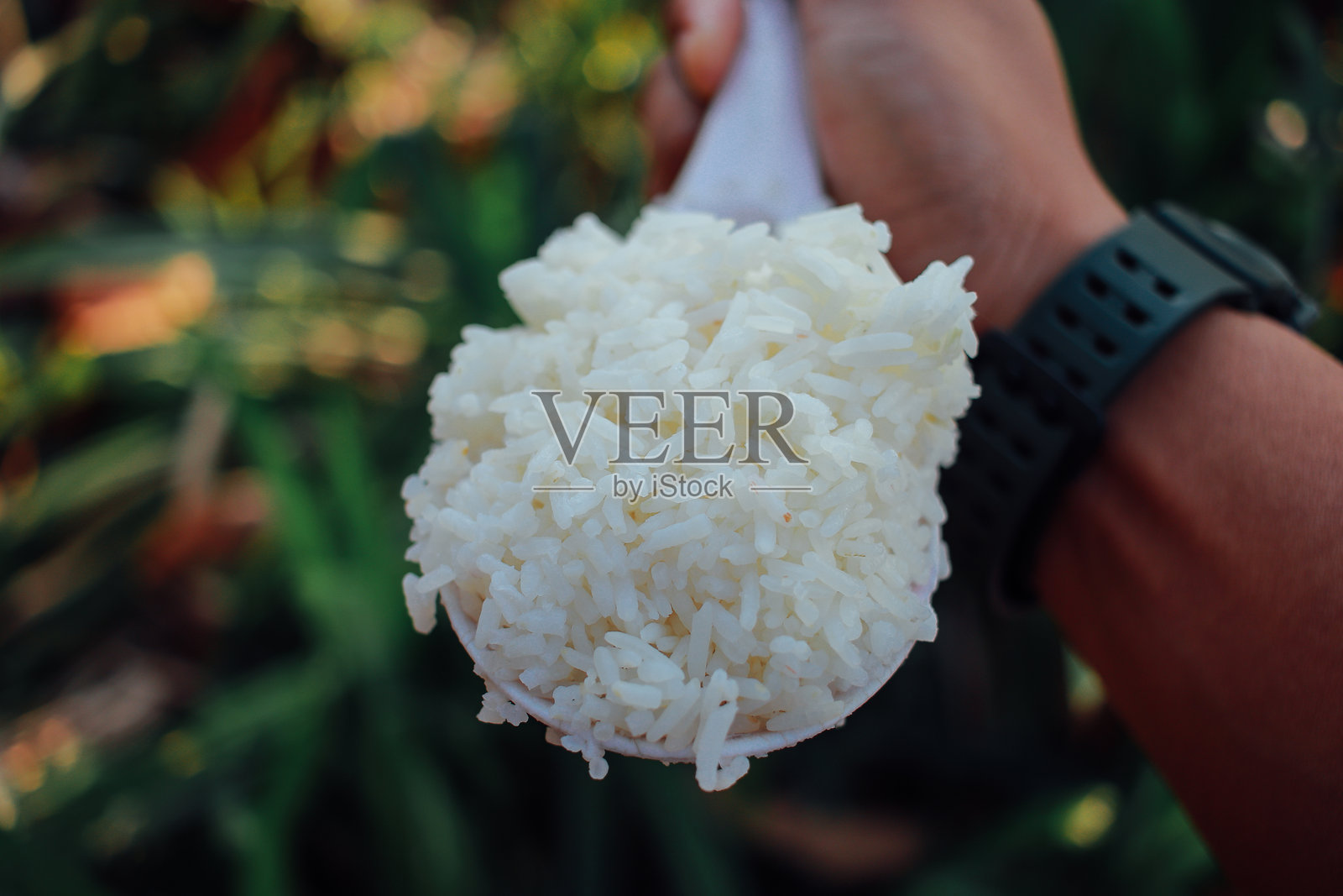 泰国米饭照片摄影图片