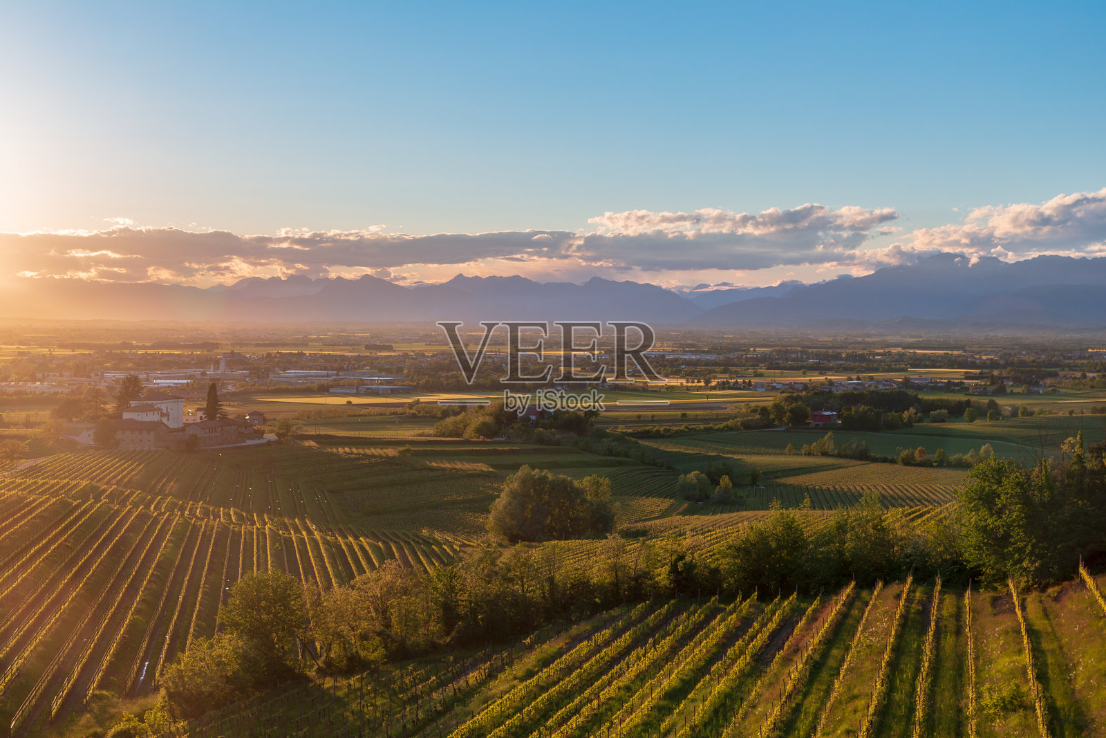 罗扎佐葡萄园的春季日落照片摄影图片