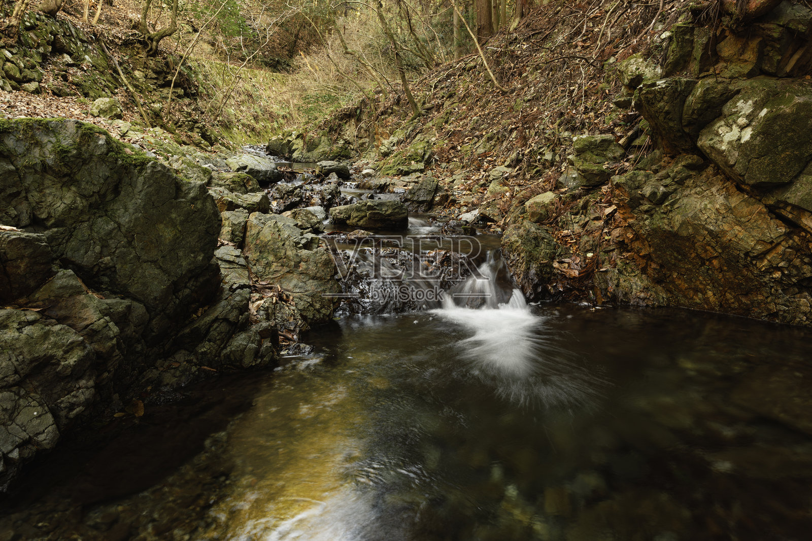 秋季的森林河岸,五彩斑斓的落叶照片摄影图片
