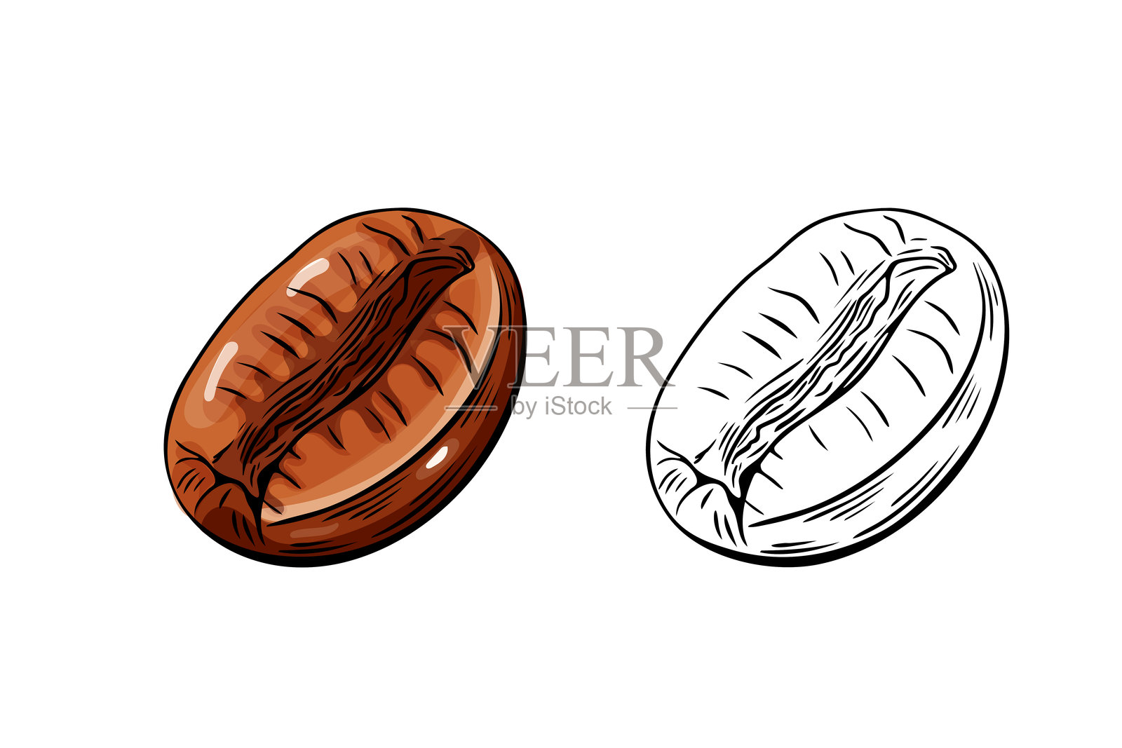 咖啡豆的彩色和线条素描插图雕刻插画图片素材