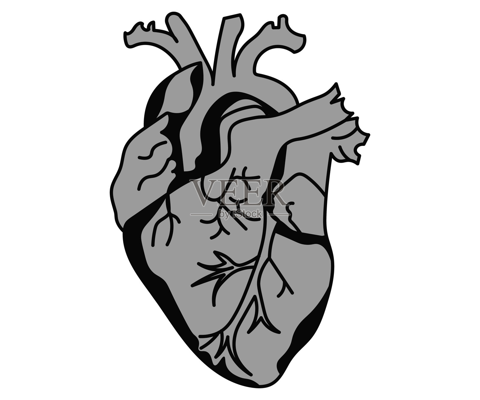 心脏插画图片素材