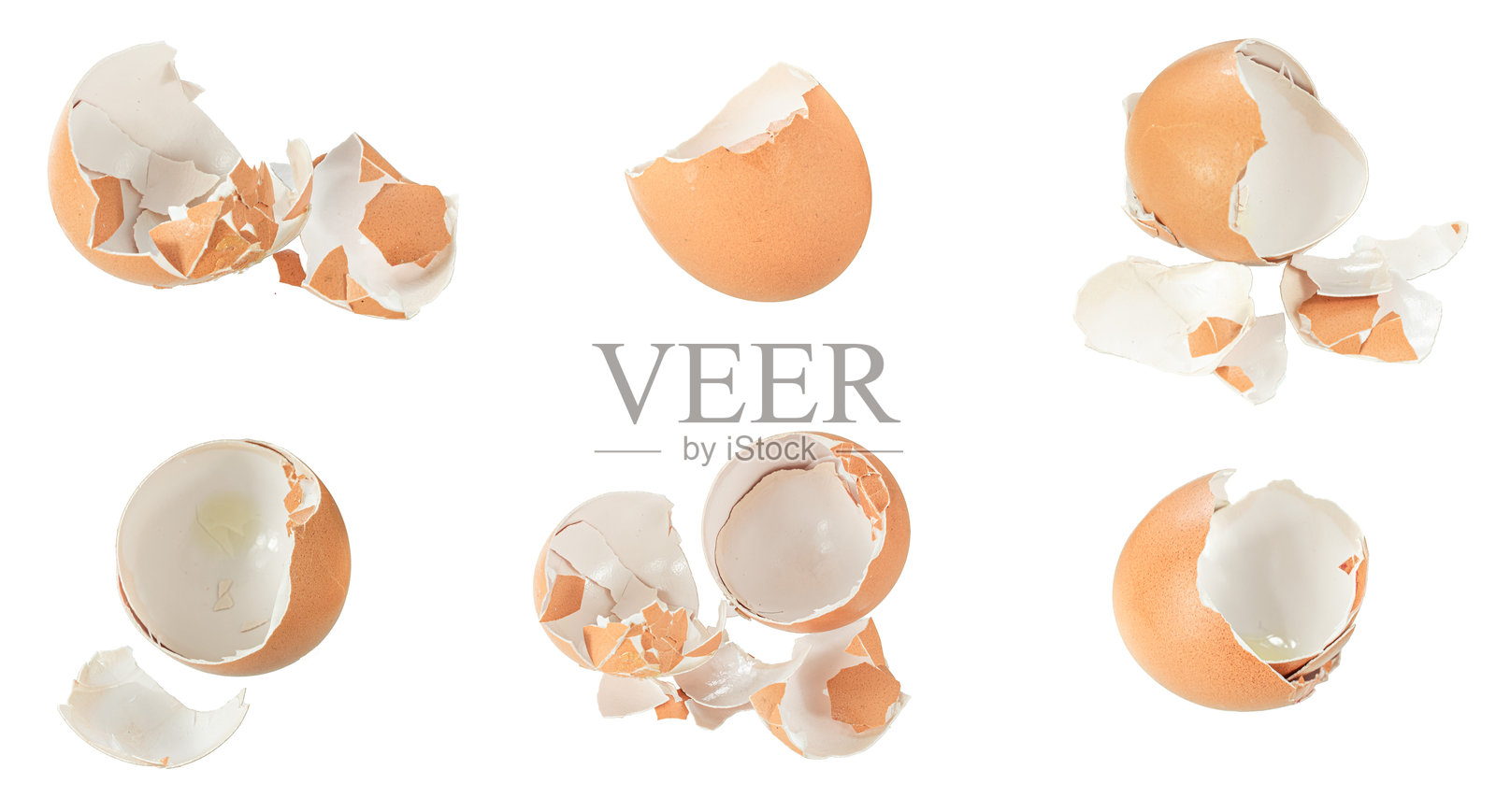 白色背景上的蛋壳照片摄影图片