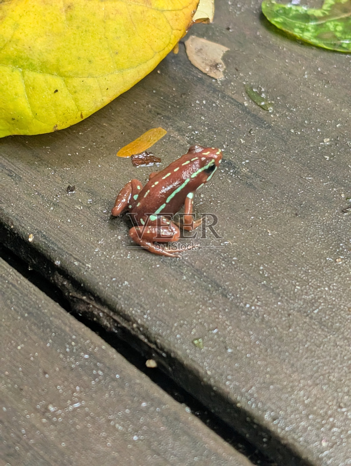 水族馆内部照片摄影图片