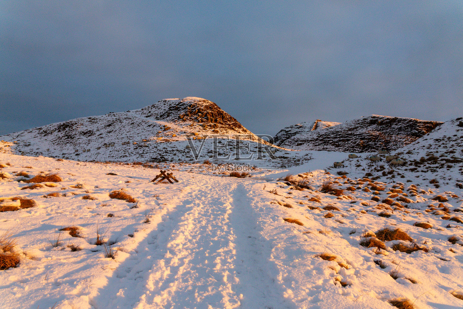 哈德良长城的雪覆盖景观,位于英格兰东北部诺森伯兰,是一处历史遗迹和长途步道,沐浴在金色的晨光中。照片摄影图片