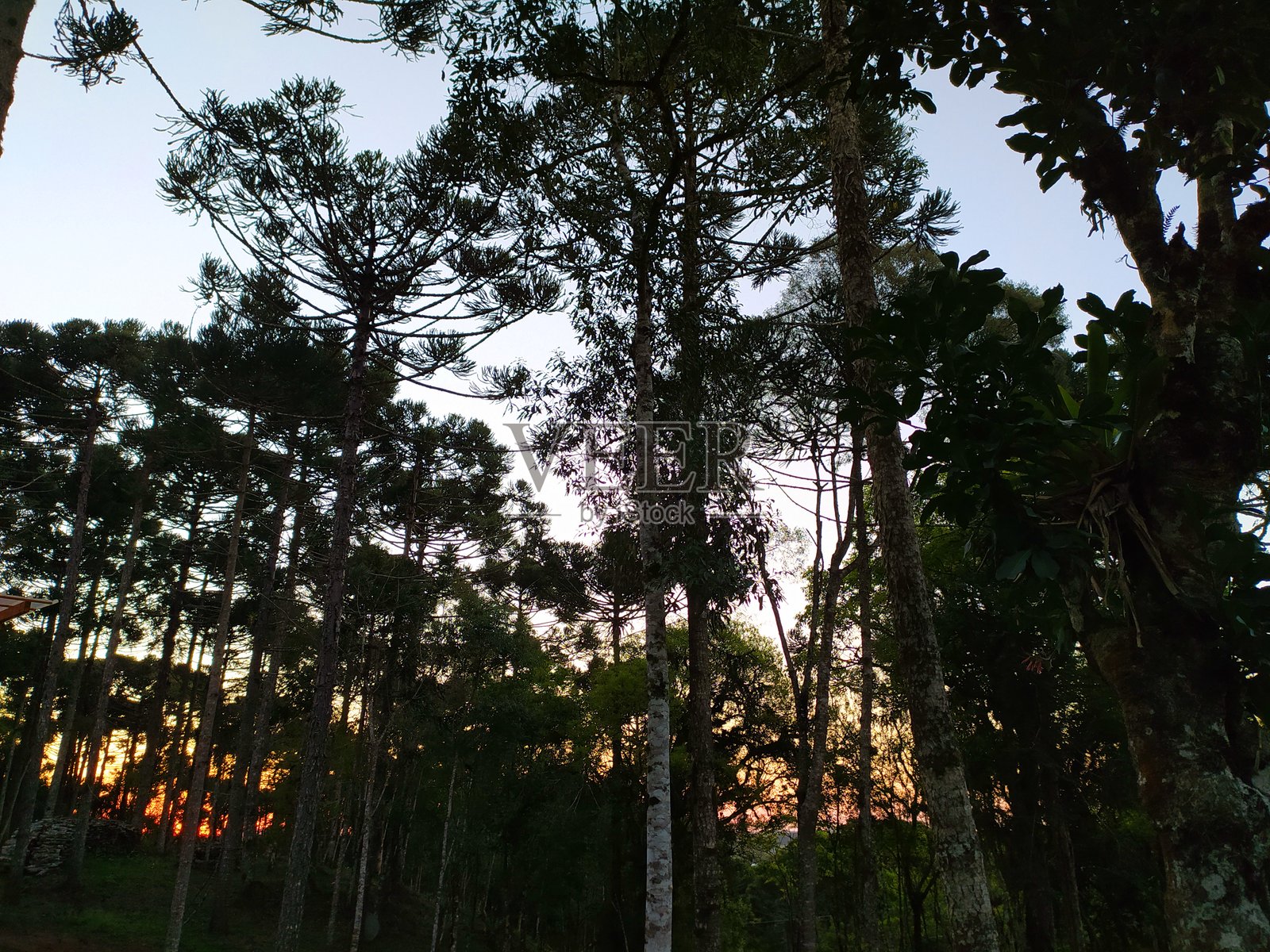 乡村风景照片摄影图片