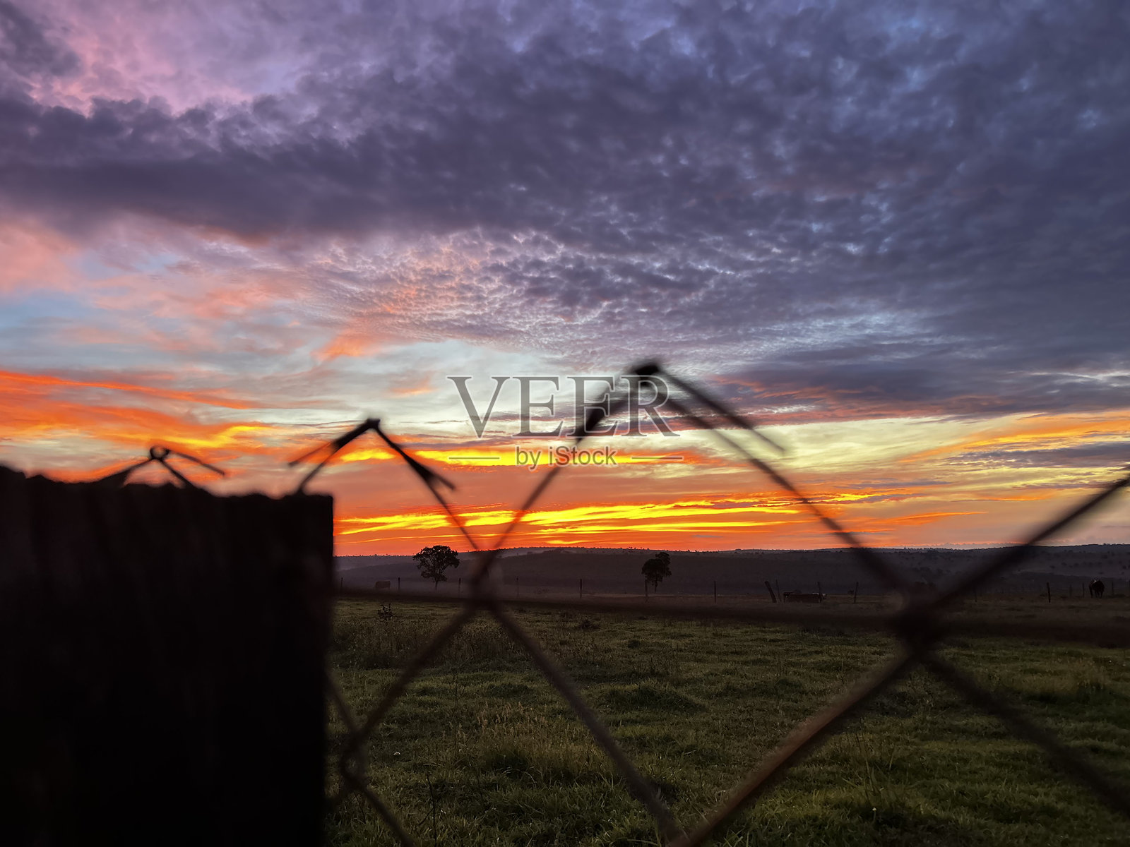 美丽的自然色彩化日落在农场。适合牧场风格的美丽背景。照片摄影图片