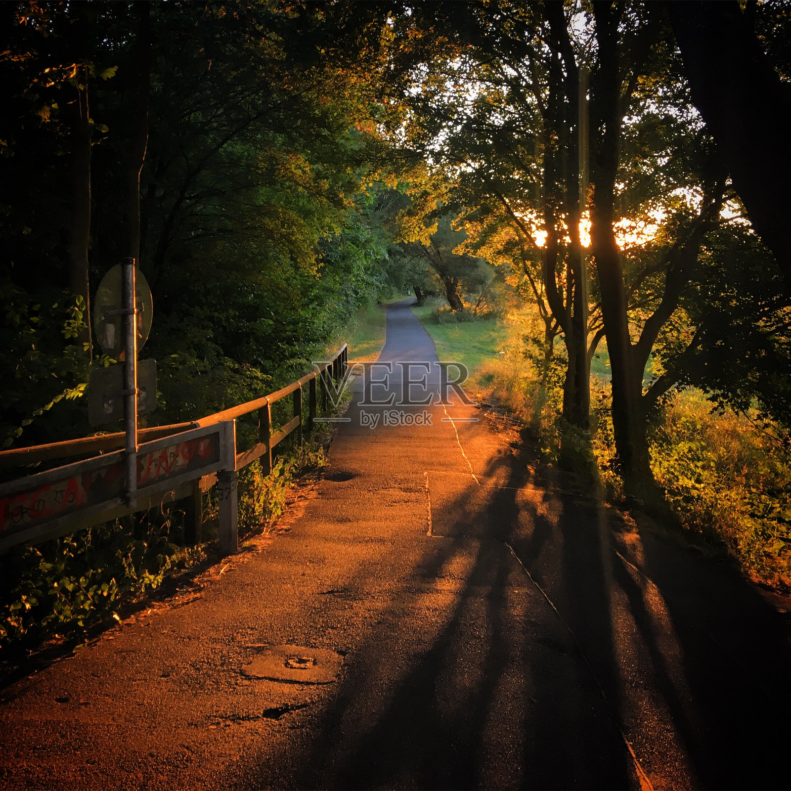 德国巴伐利亚州米特尔弗兰肯地区的菲尔特市公园阳光明媚的小径,2018年7月照片摄影图片
