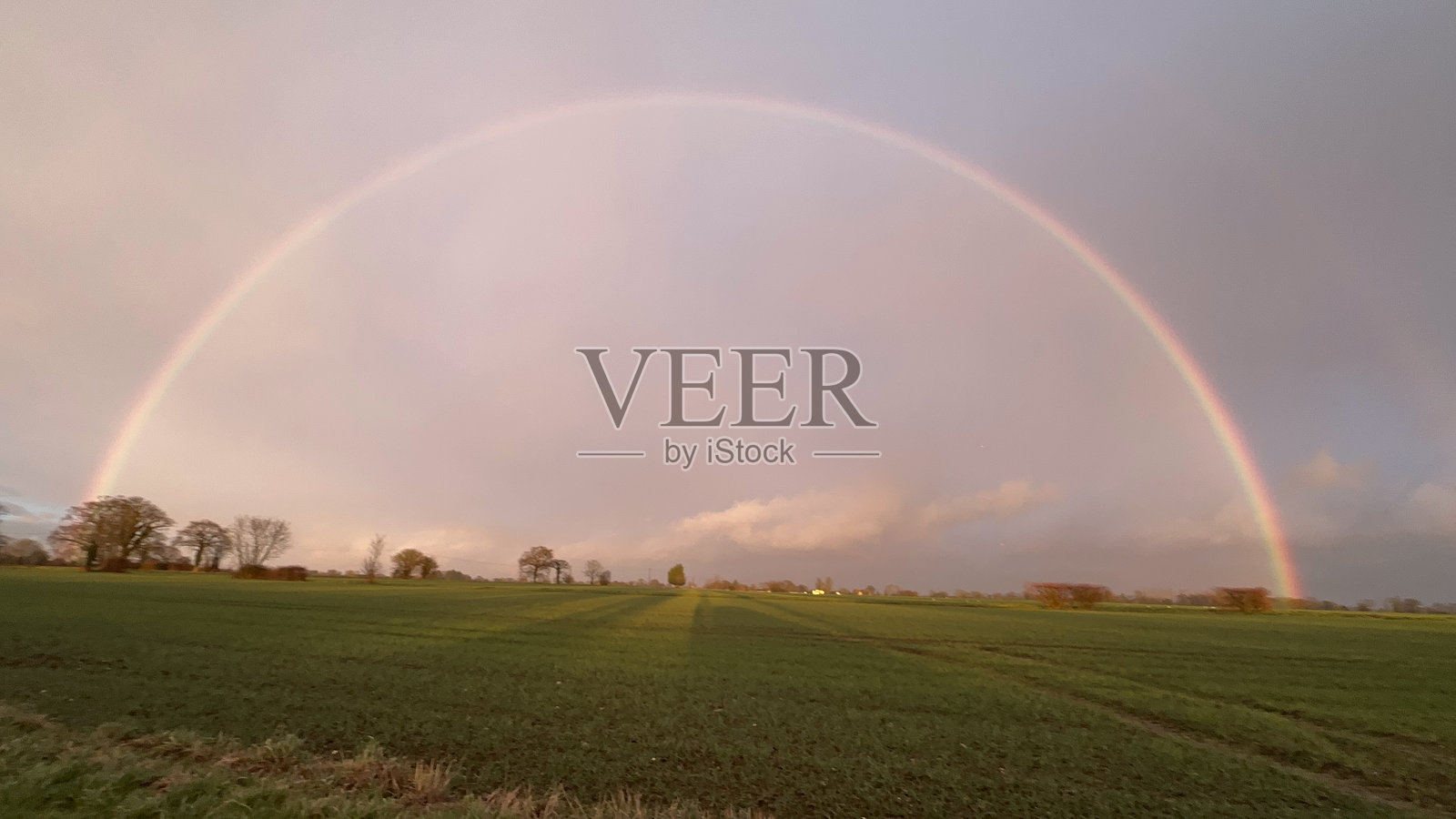 田野上的彩虹照片摄影图片