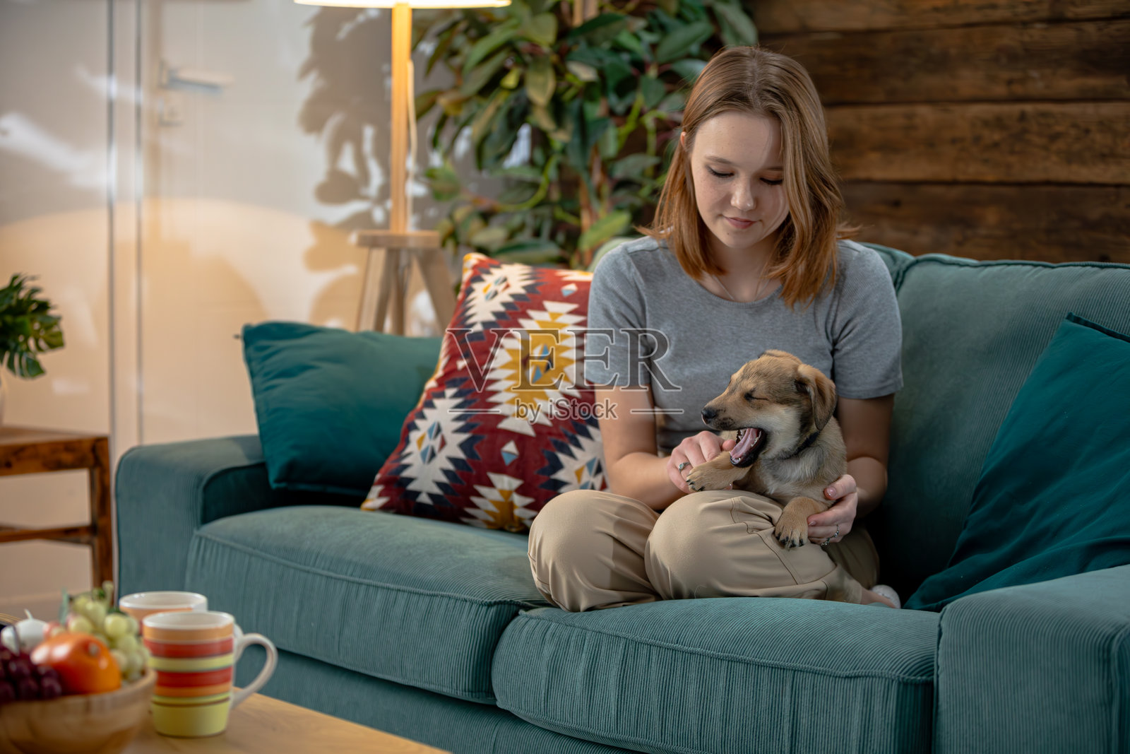 与可爱的小狗在沙发上放松时度过的温馨时刻照片摄影图片