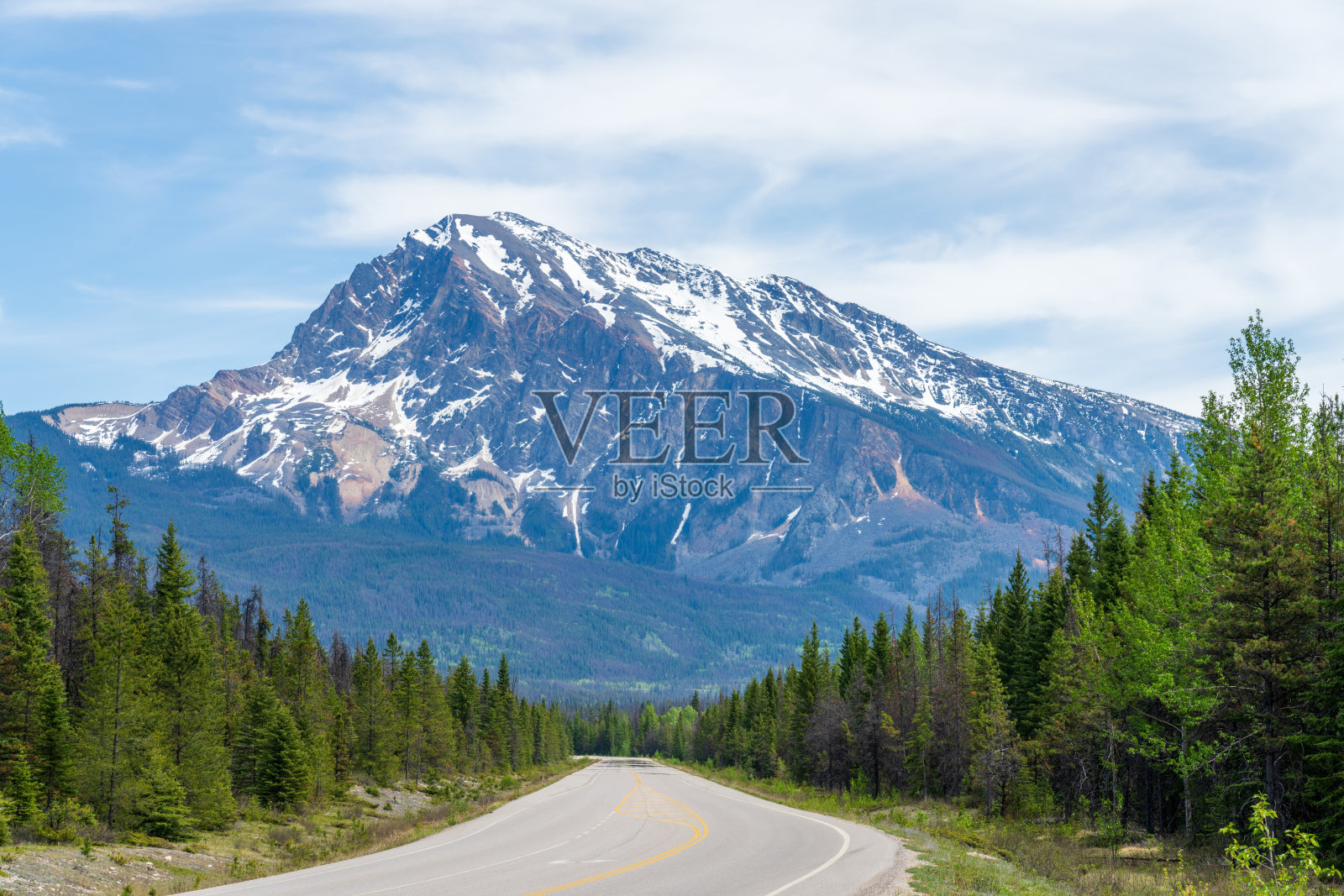 阿尔伯塔省贾斯珀国家公园的冰原大道(阿尔伯塔93号公路)。加拿大落基山脉的夏季风景。照片摄影图片