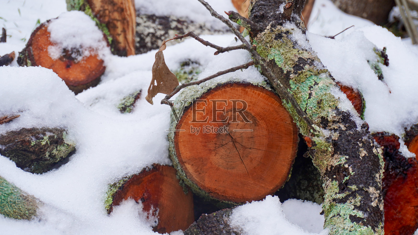 一堆覆盖着雪的红木原木照片摄影图片