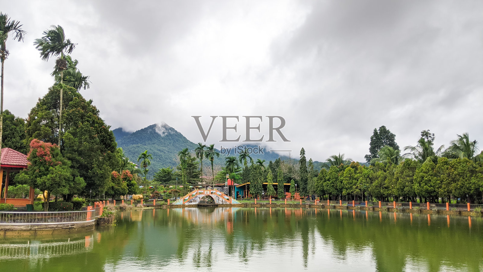 一个大型游泳池照片摄影图片