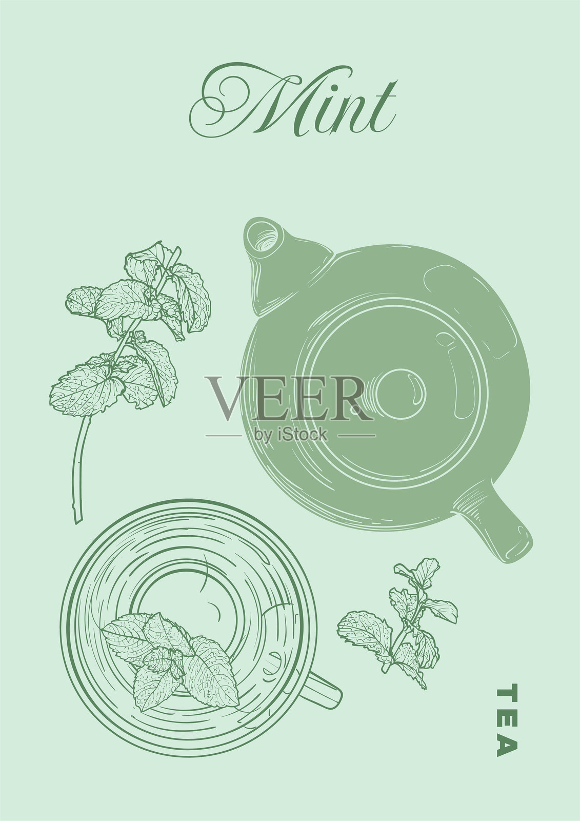 手绘薄荷茶海报。插画图片素材