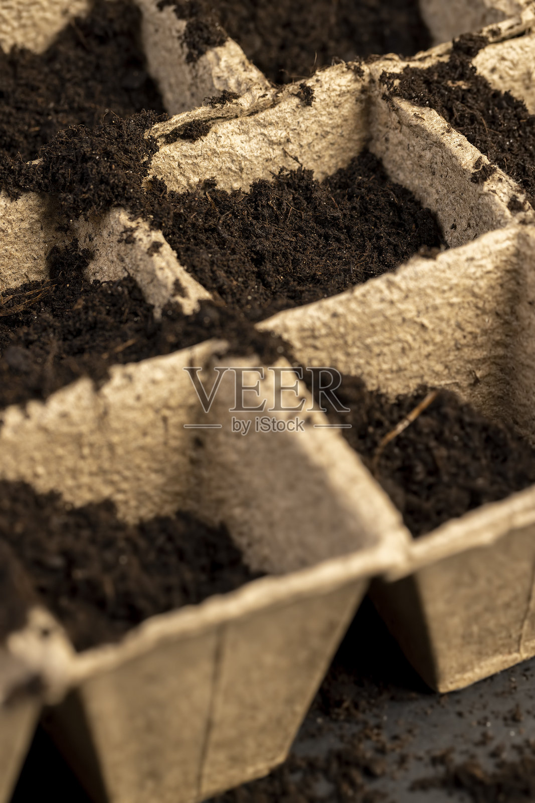 用于幼苗的纸杯,装有肥沃的土壤照片摄影图片