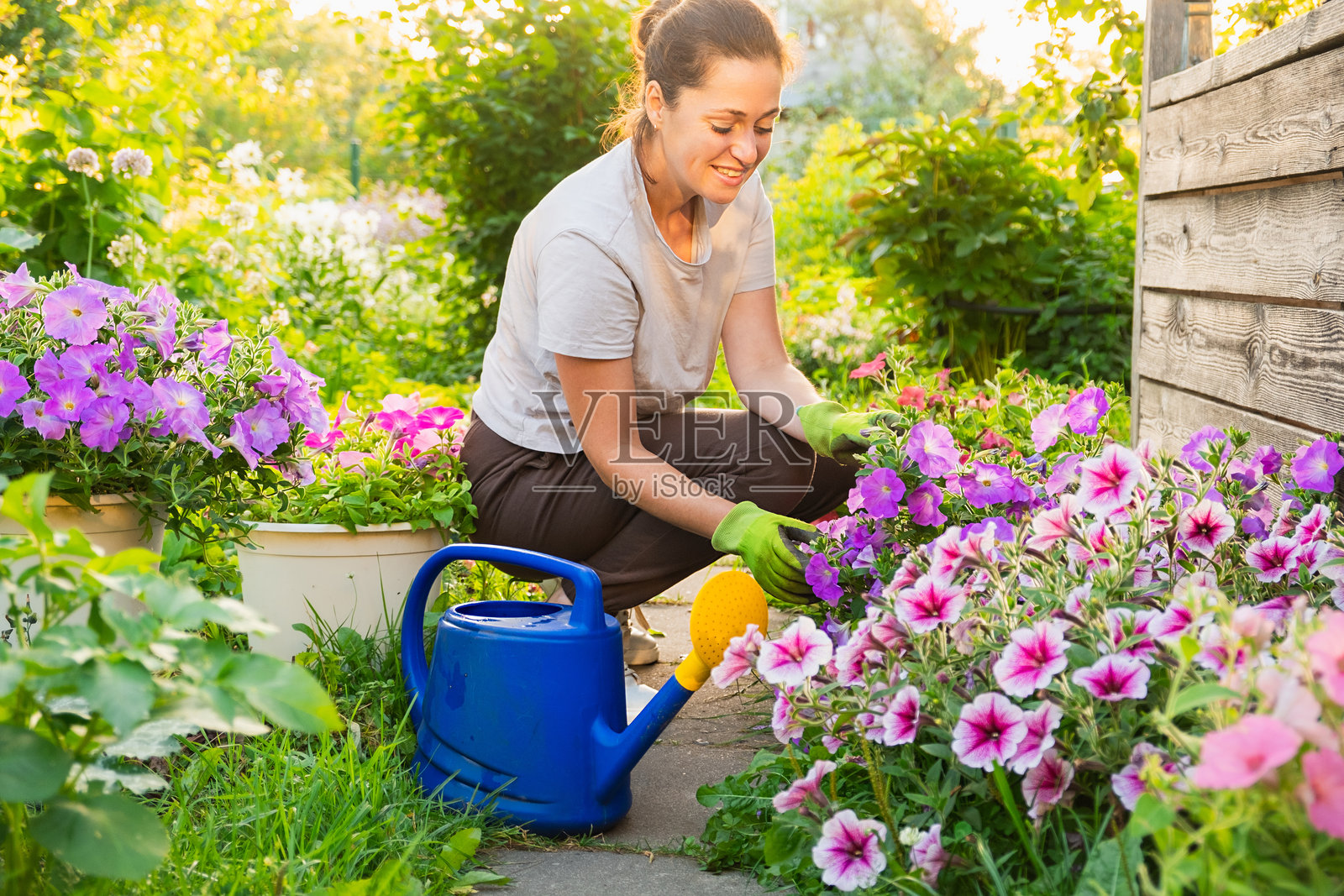园艺和农业概念。年轻女性农场工人在花园中种植花卉。园丁为花束种植花朵。夏季园艺工作。女孩在家后院进行园艺。照片摄影图片