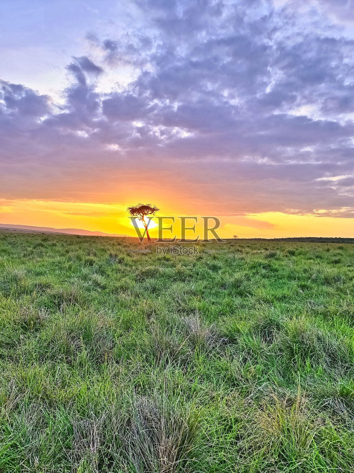 肯尼亚非洲日出时孤独的金合欢树剪影照片摄影图片