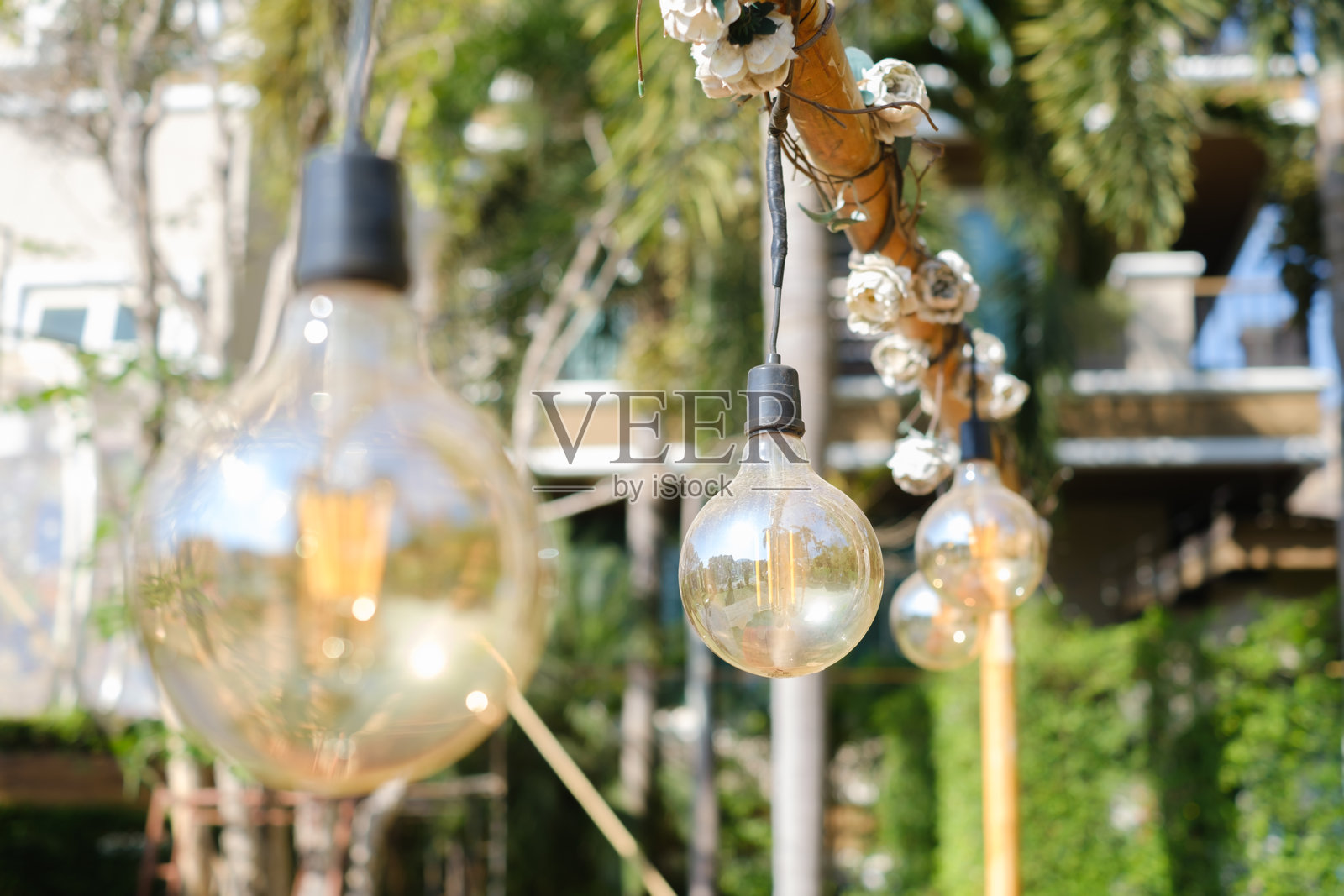 悬挂的灯泡在夜间提供光亮。照片摄影图片