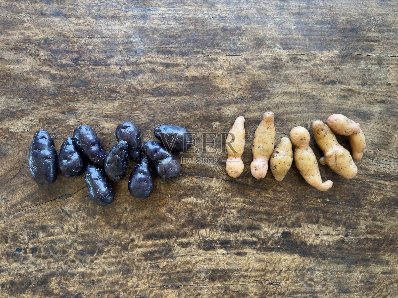 两种新鲜采摘的毛利土豆放在一张质朴的木桌上。照片摄影图片