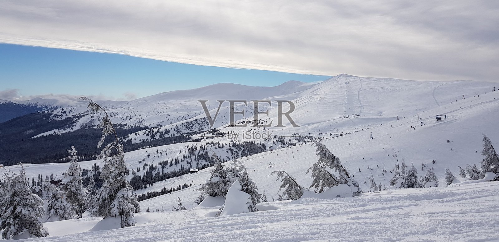 雪山坡道上有针叶树和缆车支架,天空多云照片摄影图片