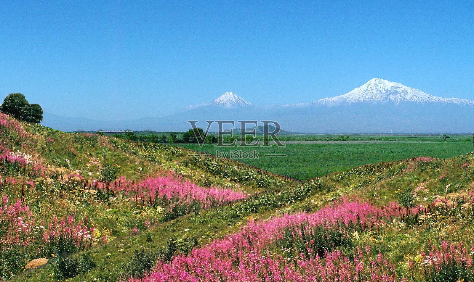 清澈蓝天下的田野美景照片摄影图片