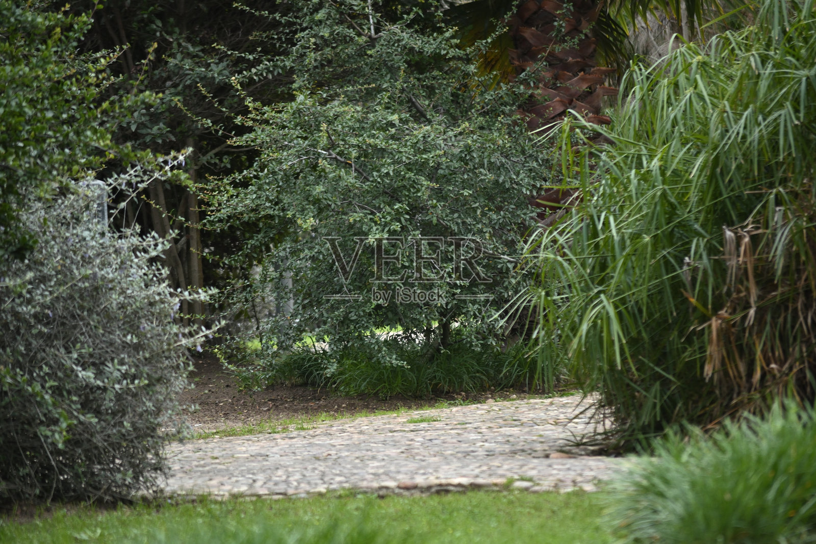 花园的世界照片摄影图片