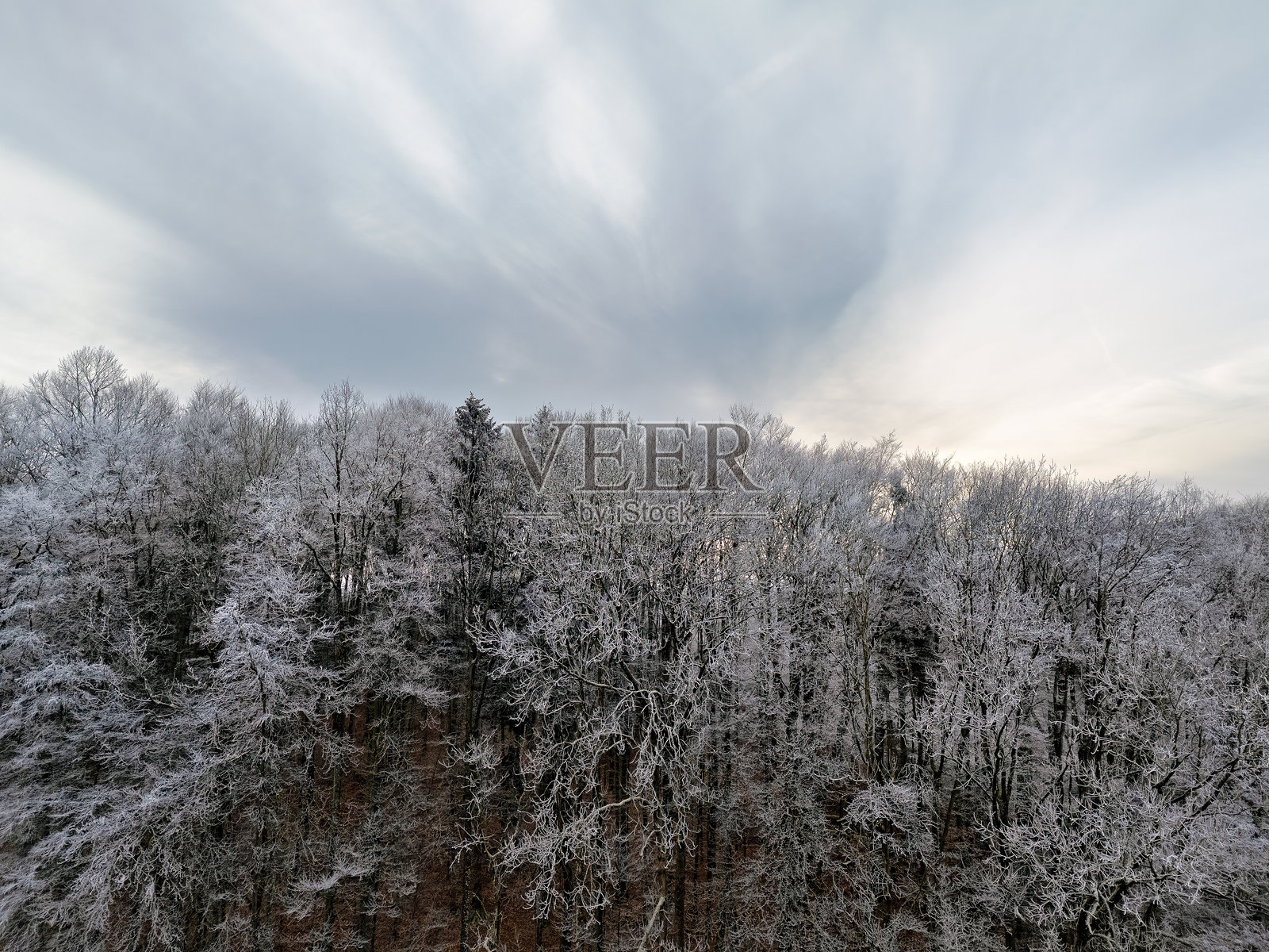 德国冬季风景,树木和田野上覆盖着冰霜,航拍镜头照片摄影图片