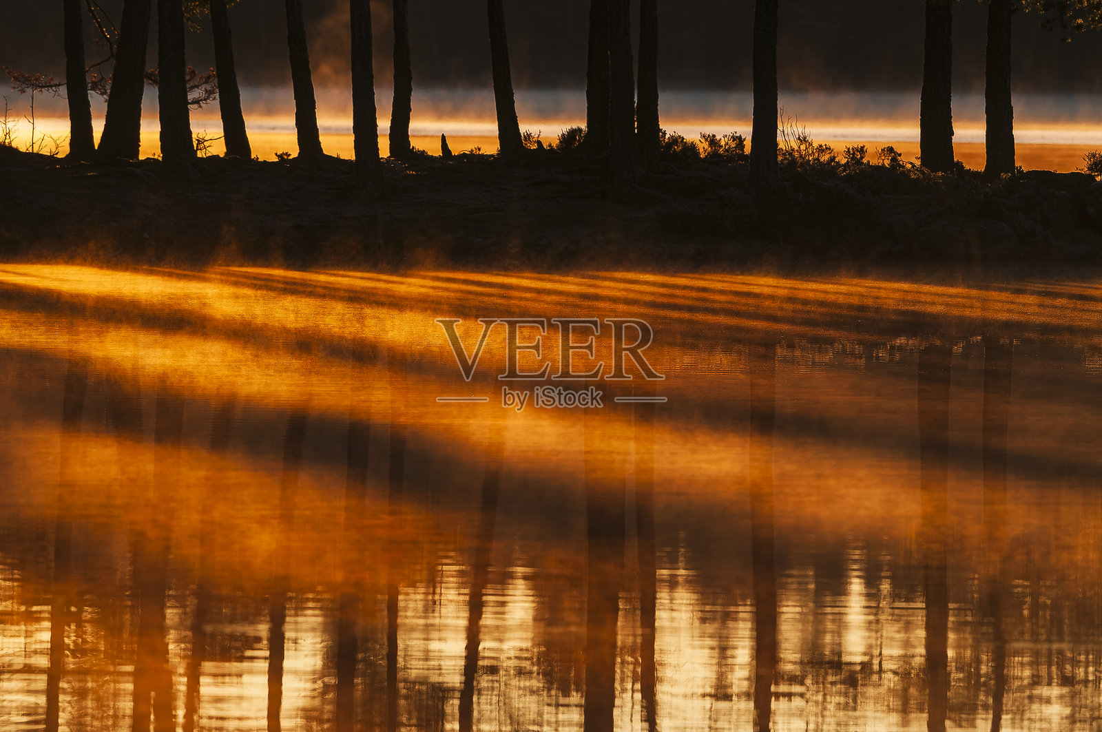 瑞典宁静湖泊上空的雾霭日出,树木环绕。照片摄影图片