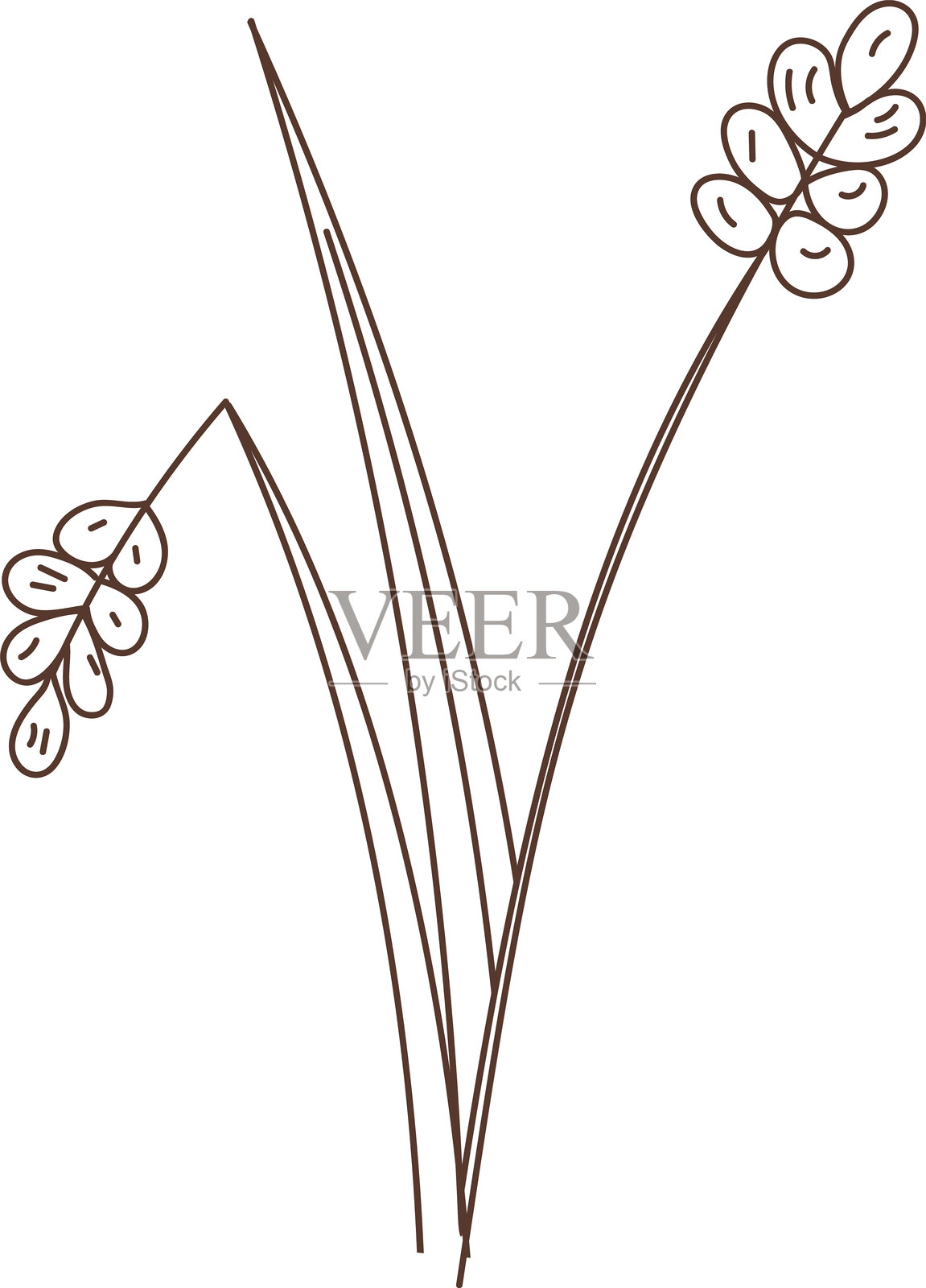 手绘花卉复古框架素描元素插画图片素材