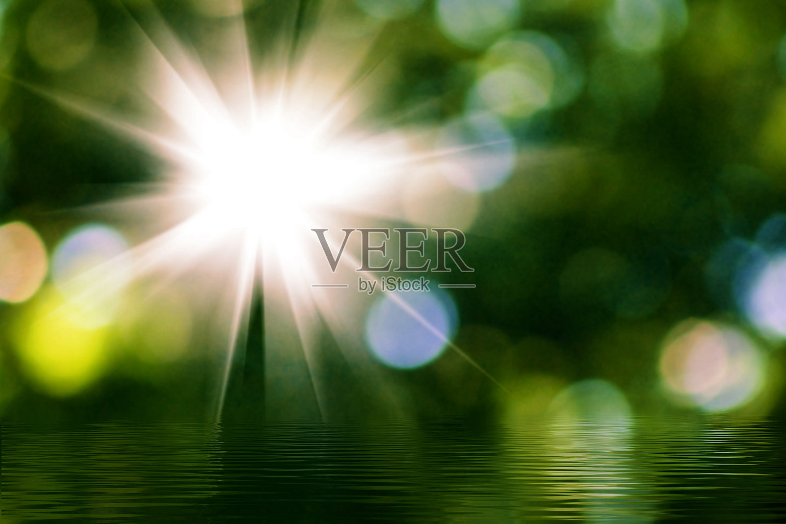 阳光透过郁郁葱葱的森林,营造出迷人的氛围,静谧的午后时光。照片摄影图片