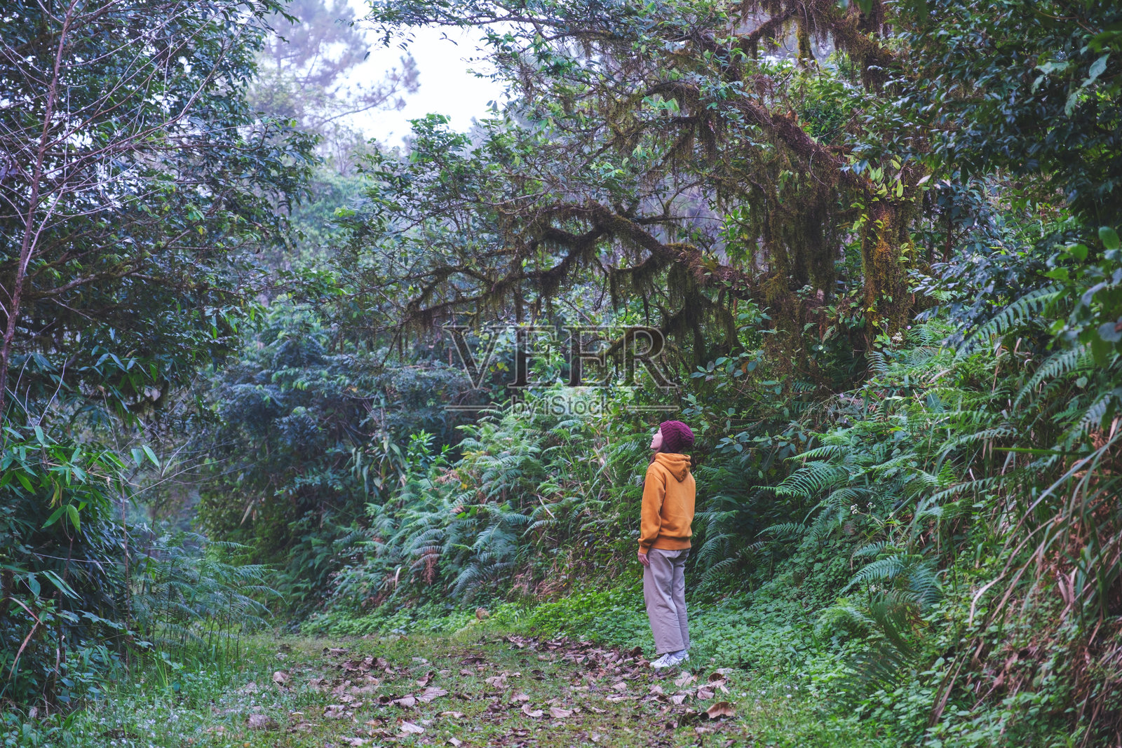 在森林中旅行的女性肖像图照片摄影图片