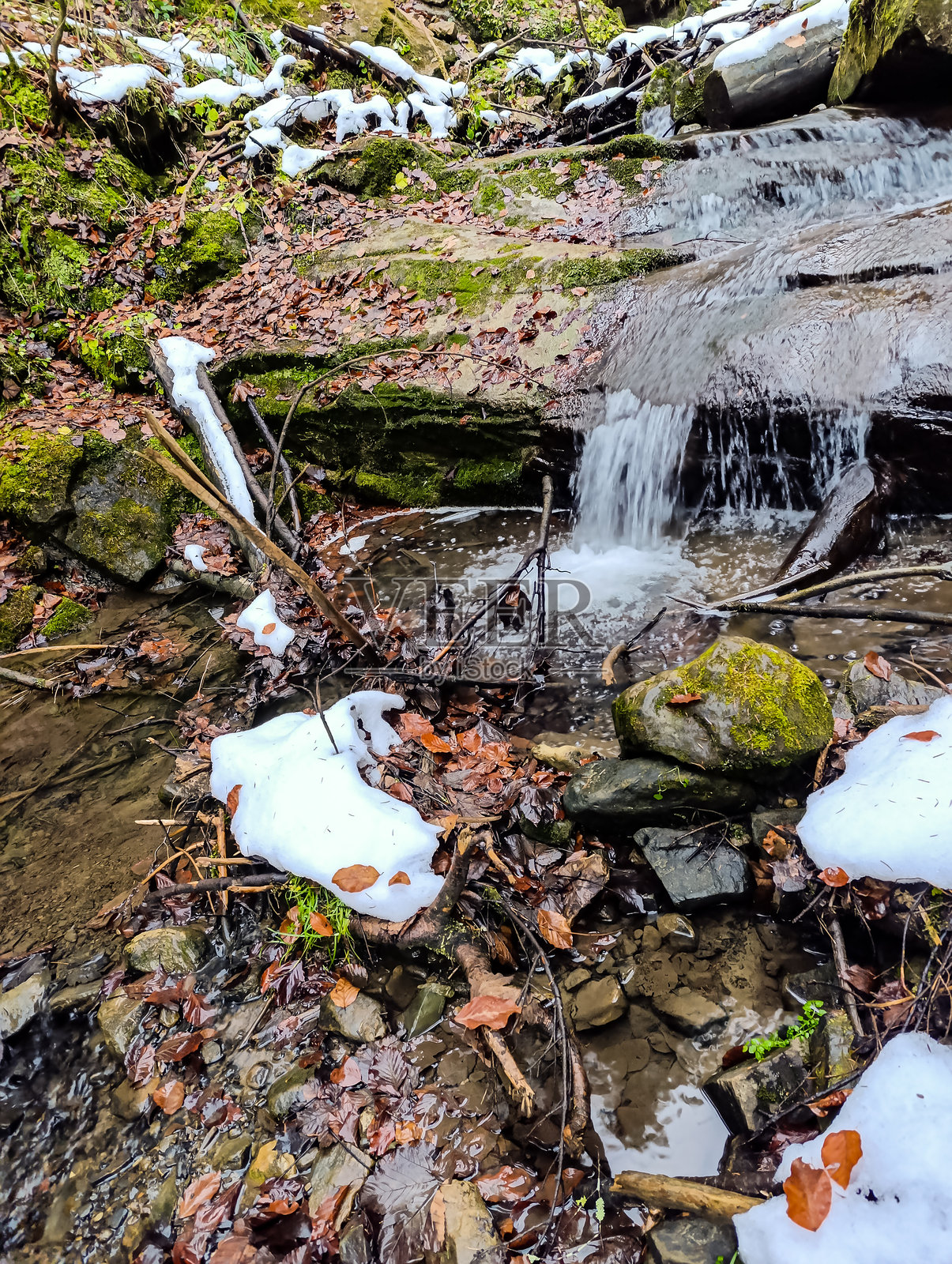 风景 - 森林 - 欧洲,罗马尼亚,苏恰瓦地区照片摄影图片