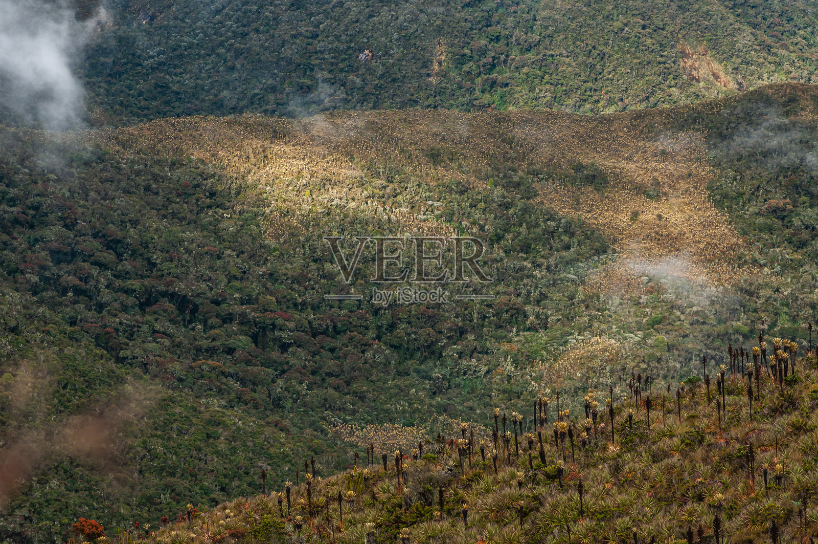 哥伦比亚的安第斯山脉。戏剧性的多云天空与日落。美丽的绿色丰盛自然。山谷上的日落。照片摄影图片