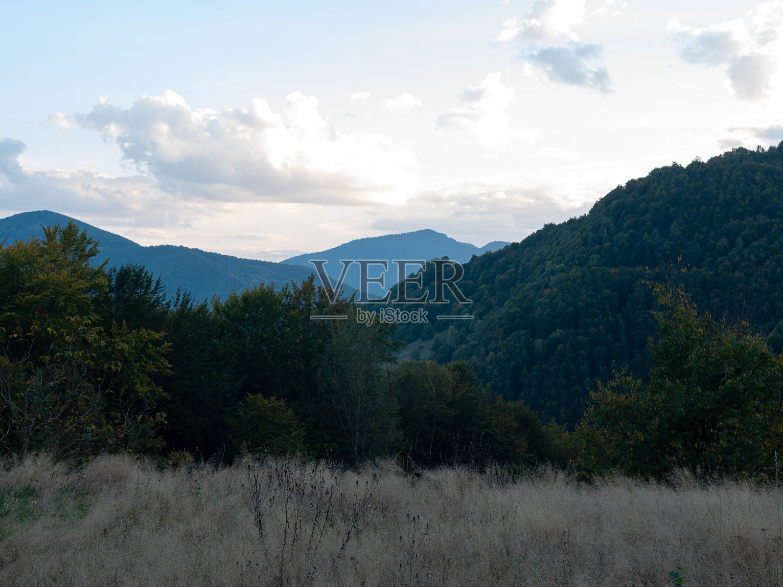乌克兰欧洲特兰斯卡尔帕提亚地区的村庄,秋季乡村风光,卡尔帕提亚山脉美景,傍晚时分。照片摄影图片
