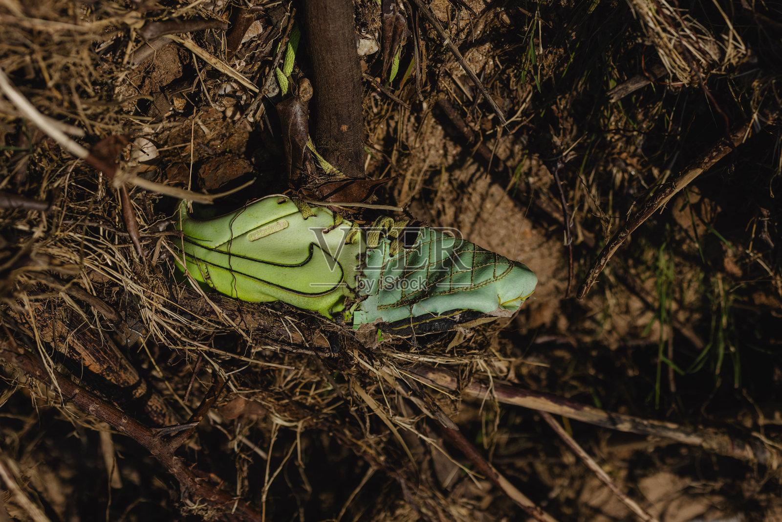 洪水过后的河流景象照片摄影图片
