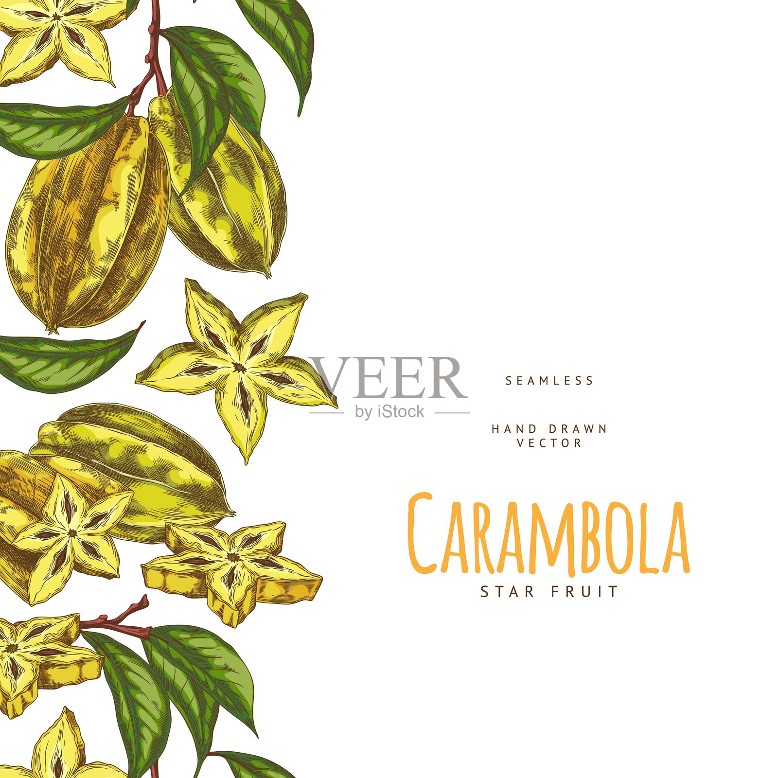 带有热带水果杨桃的无缝边框的垂直海报,采用素描风格制作插画图片素材