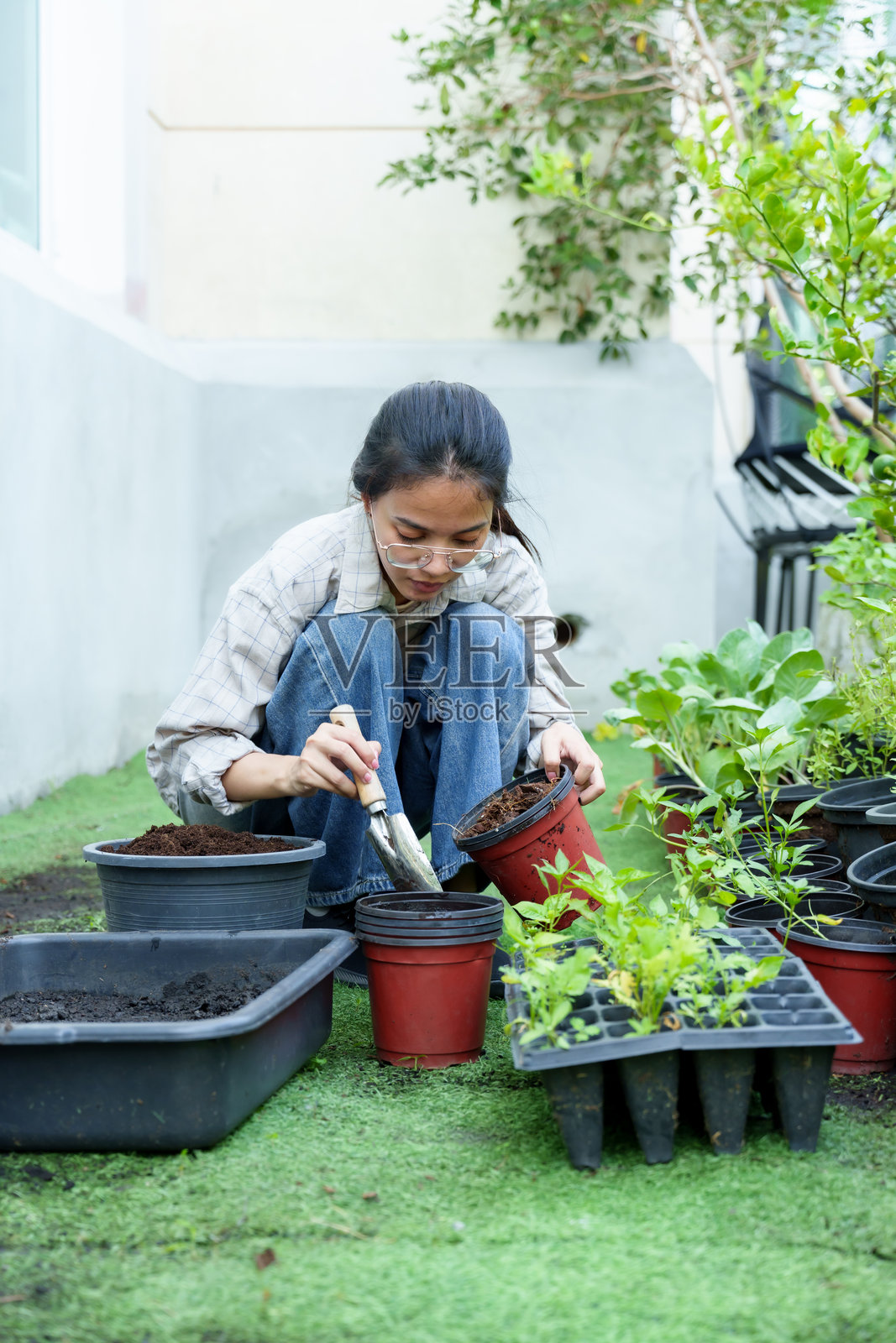 亚洲女性跪着在后院花园中用红色花盆种植蔬菜幼苗,周围绿意盎然,展示有机园艺和可持续生活方式,倡导健康的生活方式。照片摄影图片