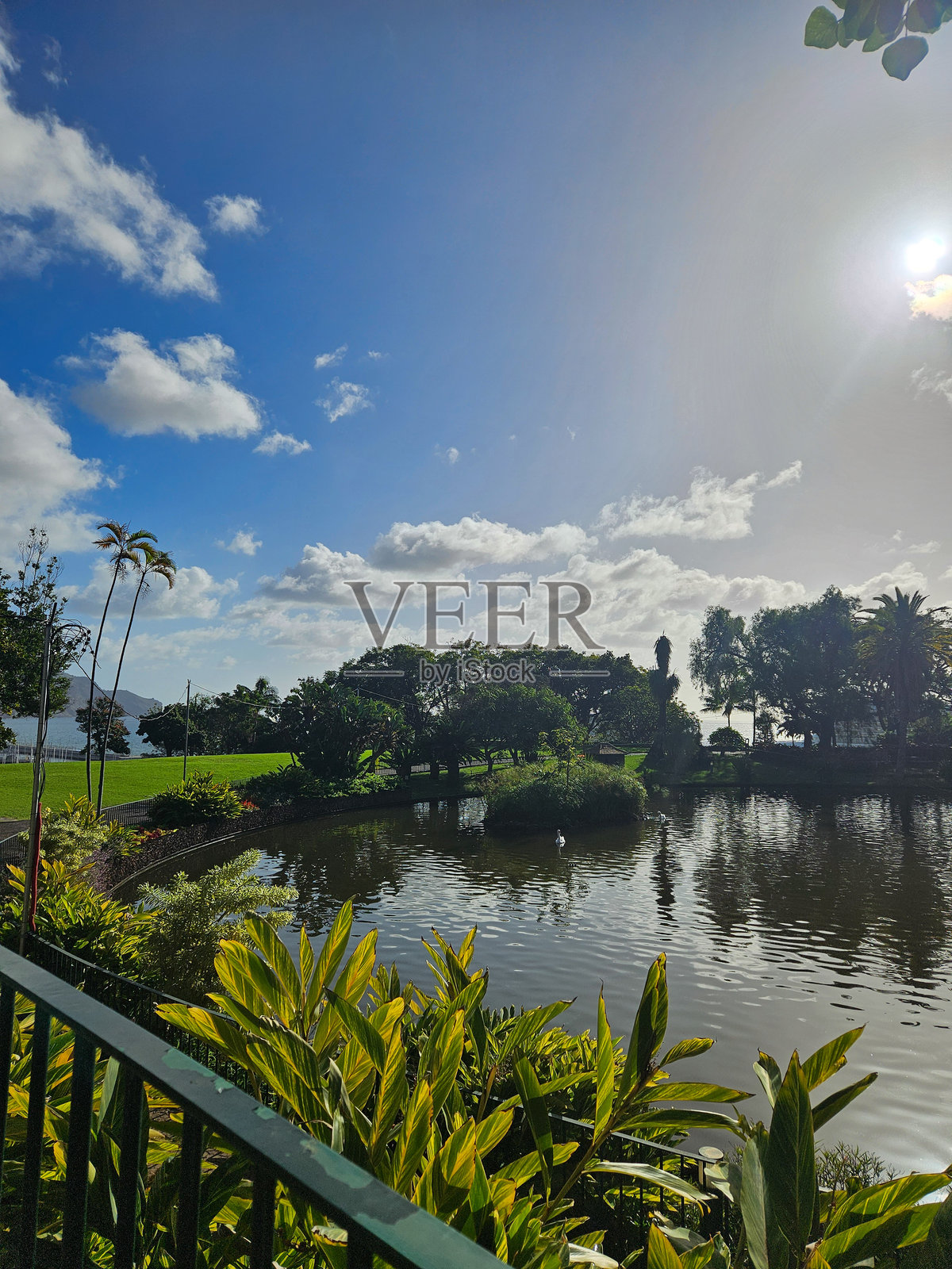 丰沙尔的公园照片摄影图片