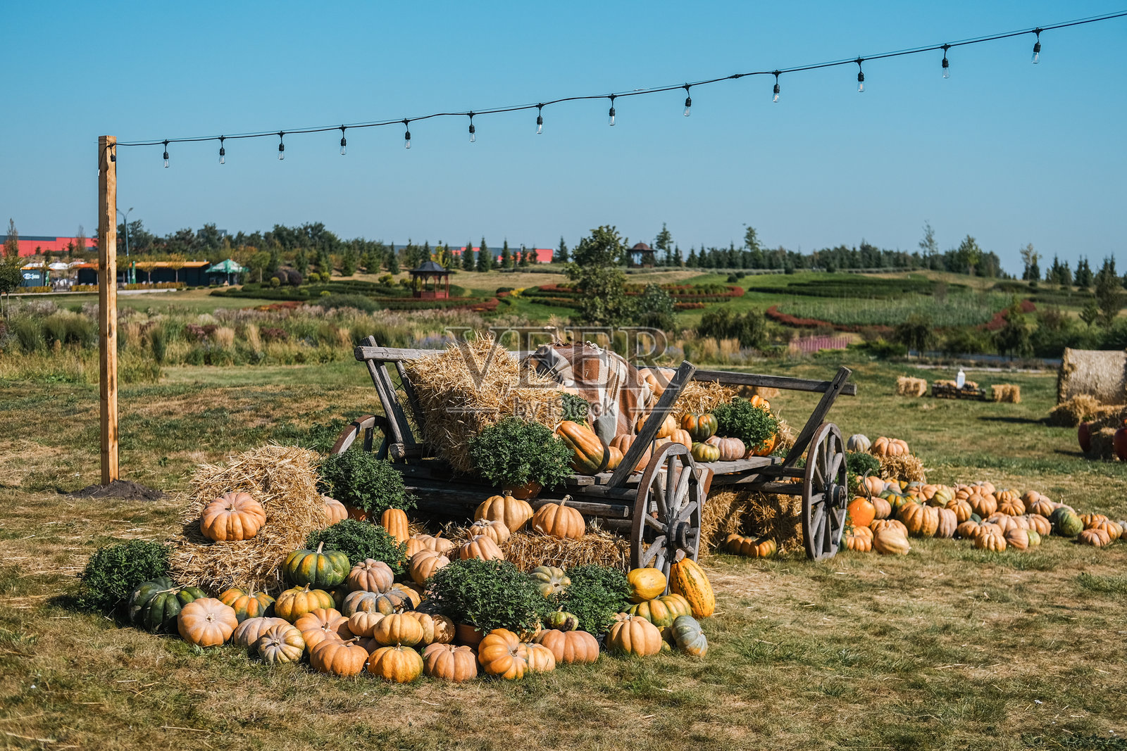 一个装满南瓜和稻草捆的乡村手推车,停在阳光明媚的秋季田野中照片摄影图片