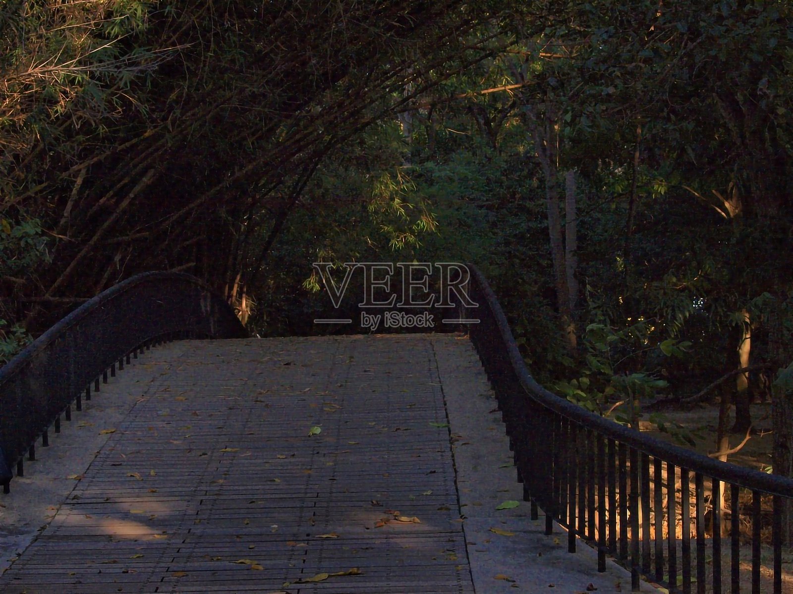 公园里的桥照片摄影图片