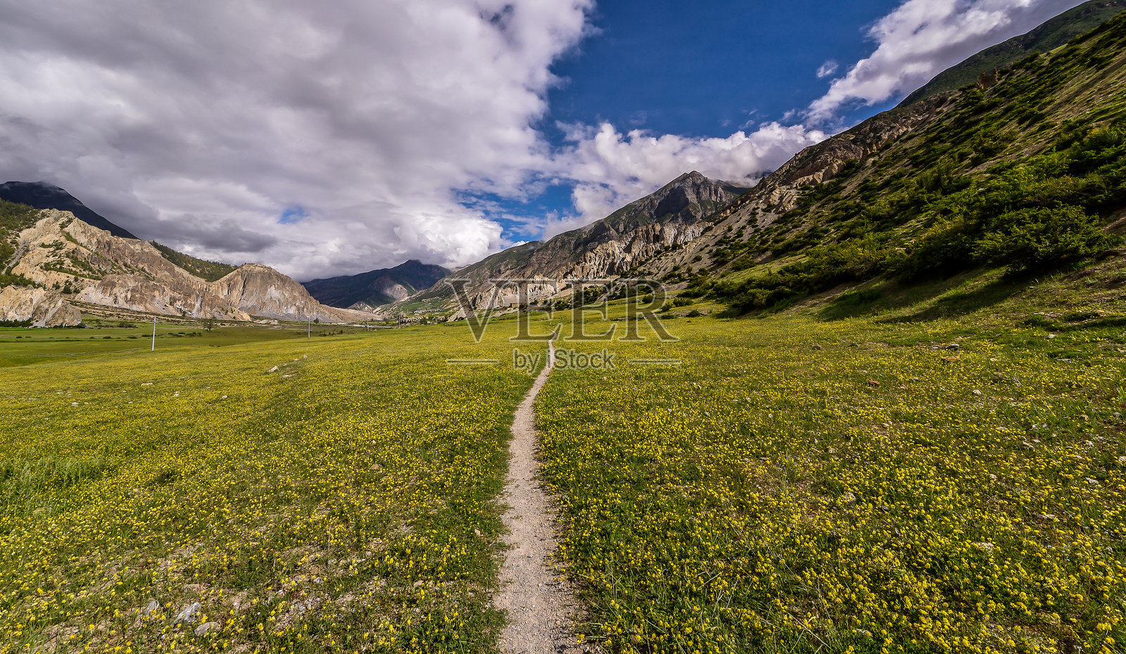 尼泊尔 - 安娜普尔纳山脉照片摄影图片