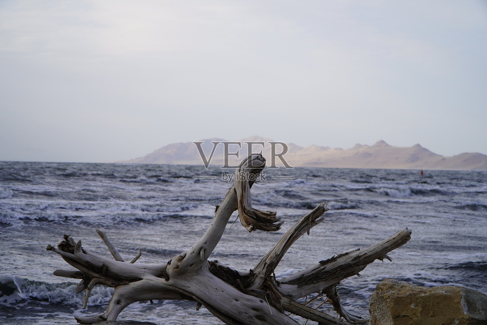 大盐湖照片摄影图片