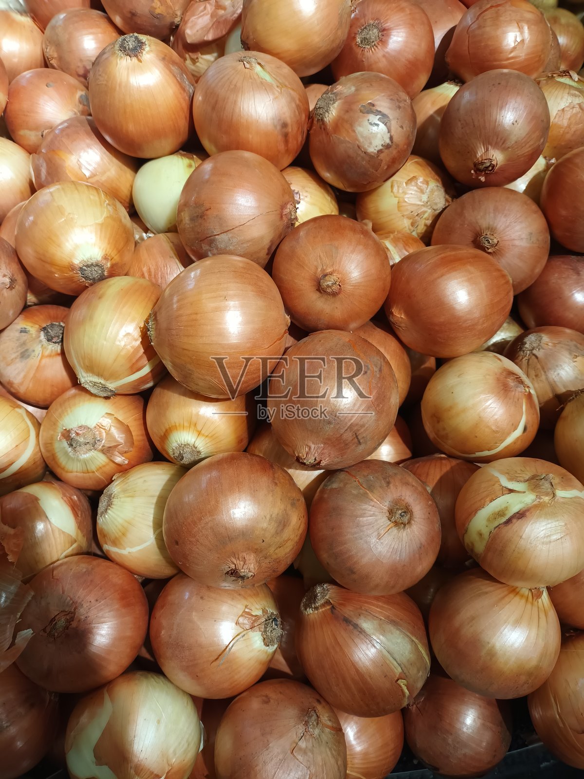 一堆新鲜的洋葱照片摄影图片