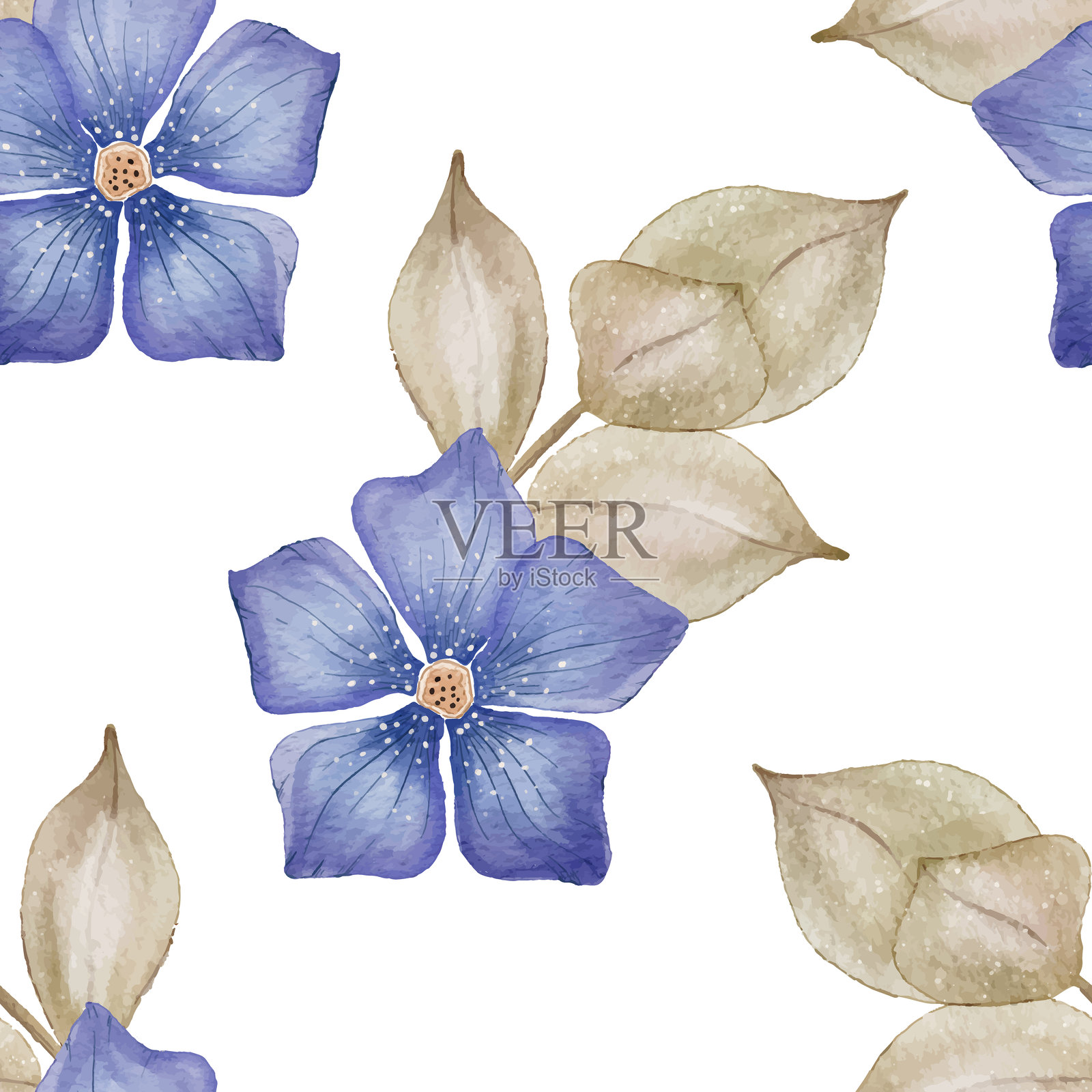 手绘彩色长春花无缝图案,长春花水彩植物纹理插画图片素材