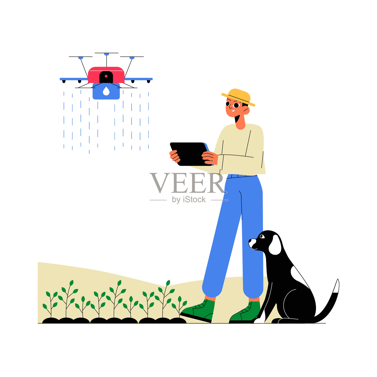 农民操作无人机喷灌器的扁平矢量插图,象征着智能农业、精准农业和物联网作物管理,背景为白色。插画图片素材