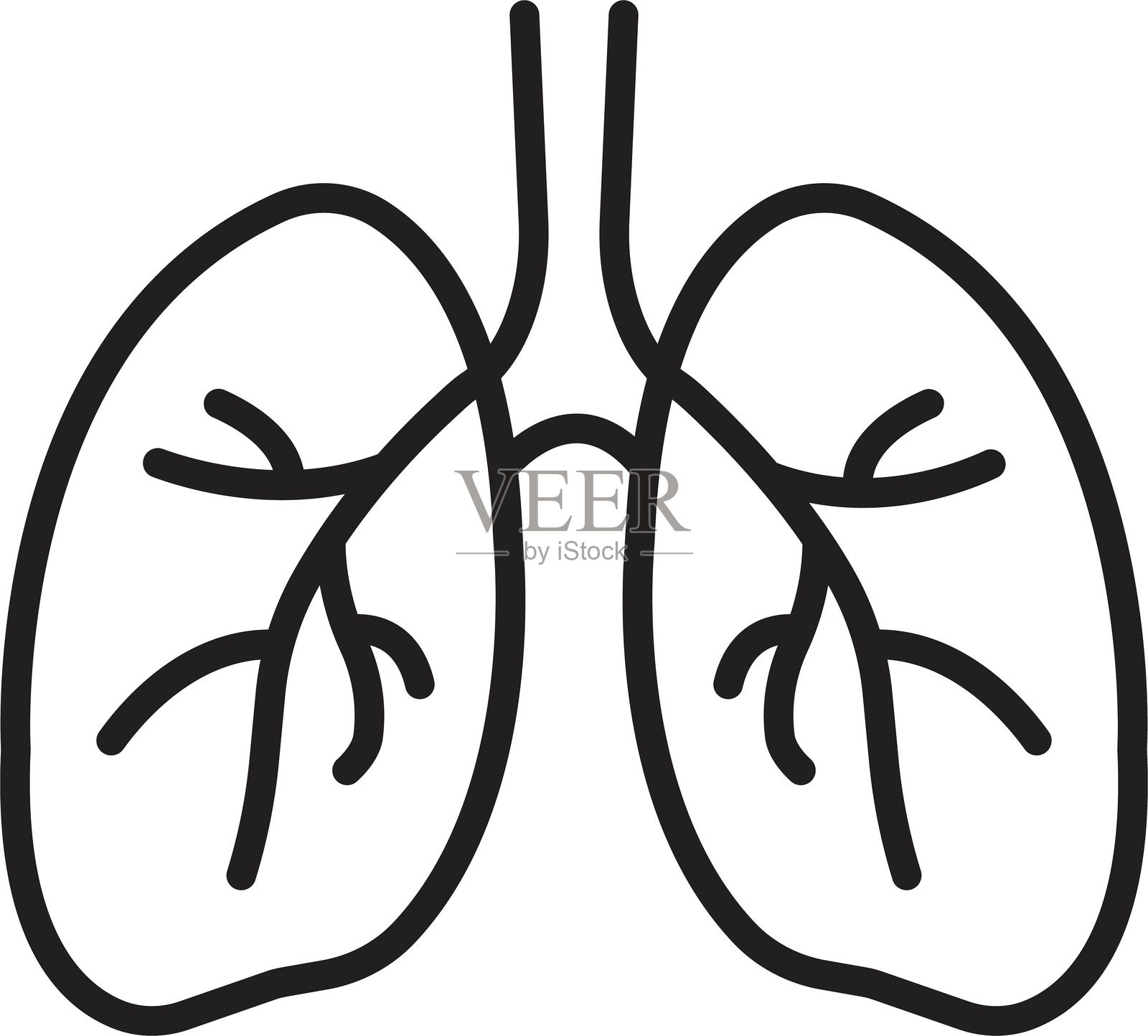 人类肺部图标,健康呼吸系统解剖平面医学器官图标,孤立在白色背景上。线条医学器官图标。插画图片素材
